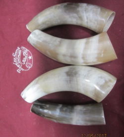 Donor horns for Rings