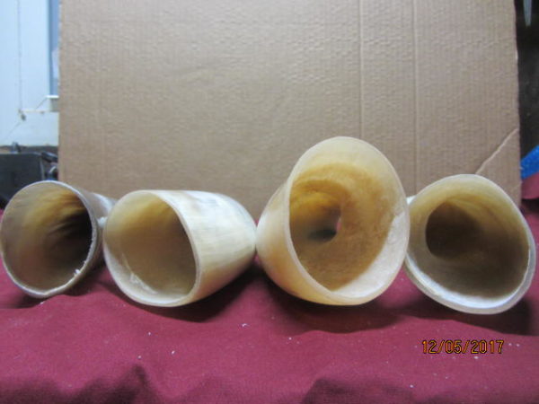 Donor Horns for Rings