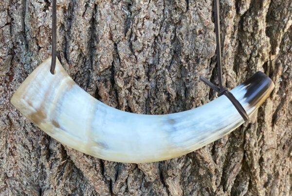 Blowing Horn