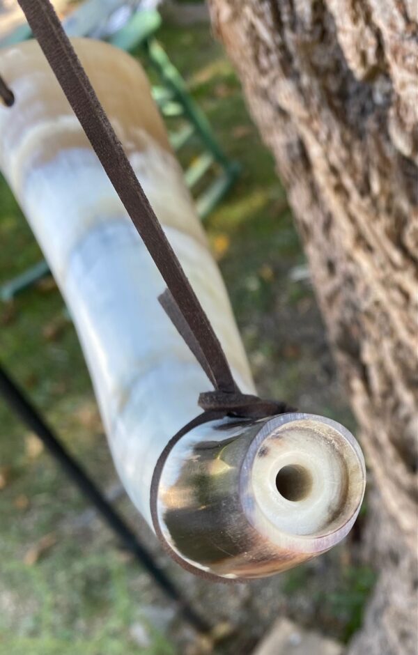 Blowing Horn