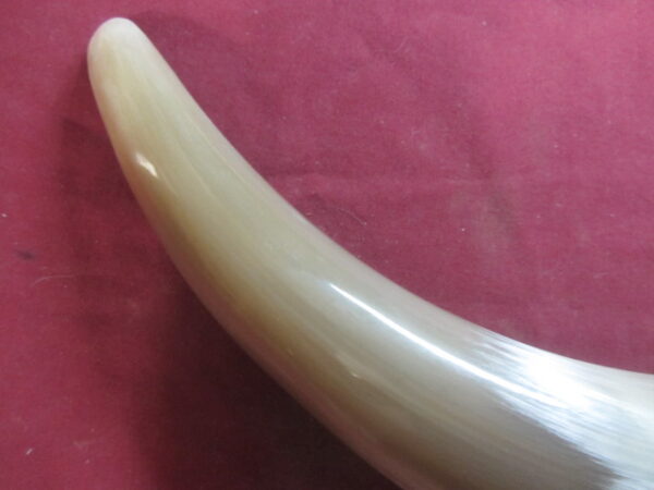 6611 Humongous - Left