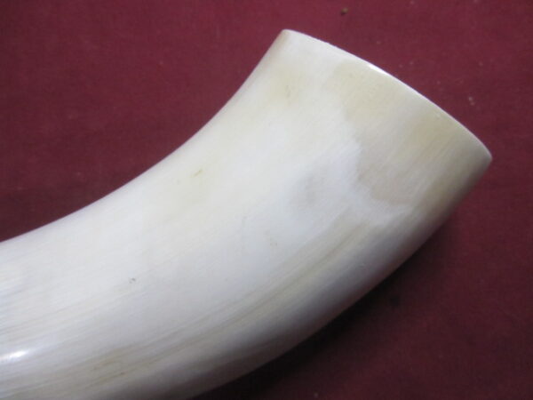 6635 Medium - Left