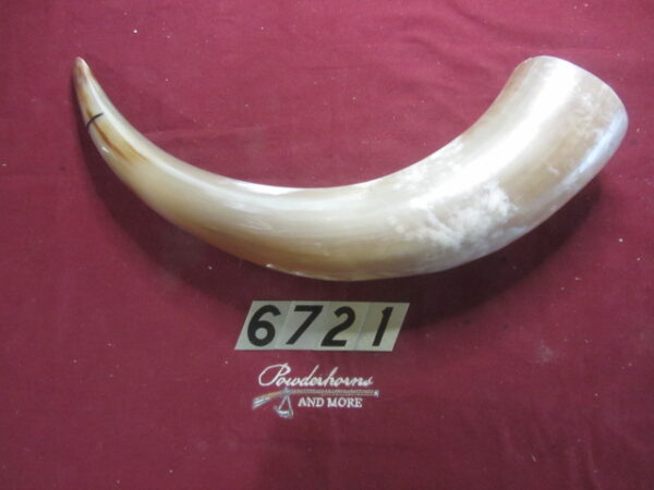 6721 Humongous - Left GREAT FOR CUPS