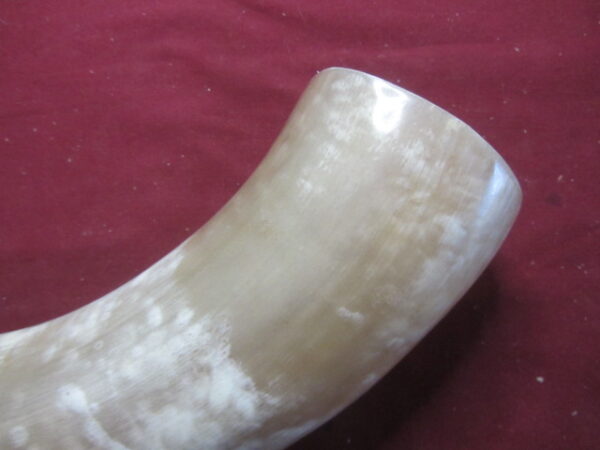 6721 Humongous - Left GREAT FOR CUPS