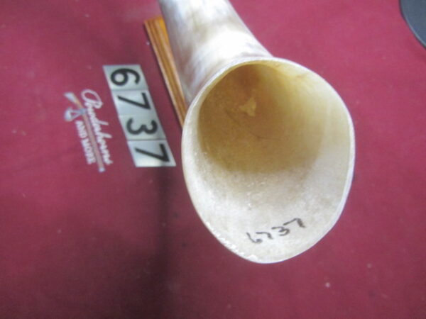 6737 Large - Left