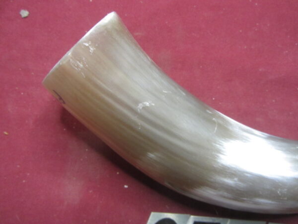 6739 Large - Right