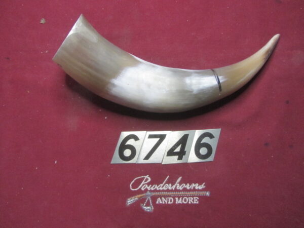 6746 Medium - Right Priming/Day