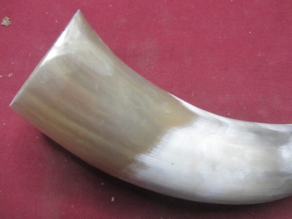6746 Medium - Right Priming/Day