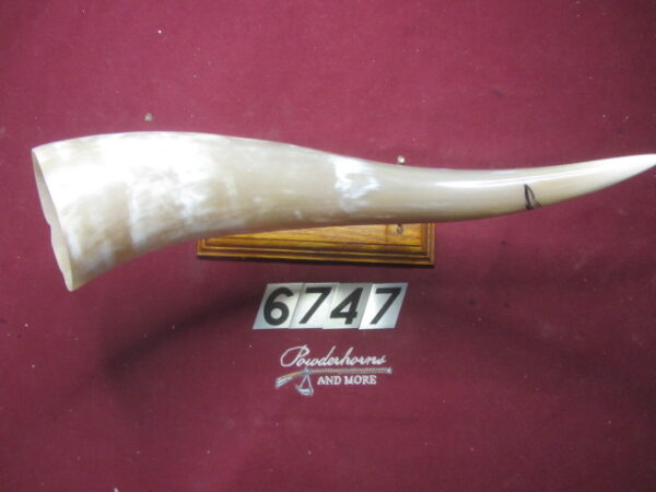 6747 Large - Right