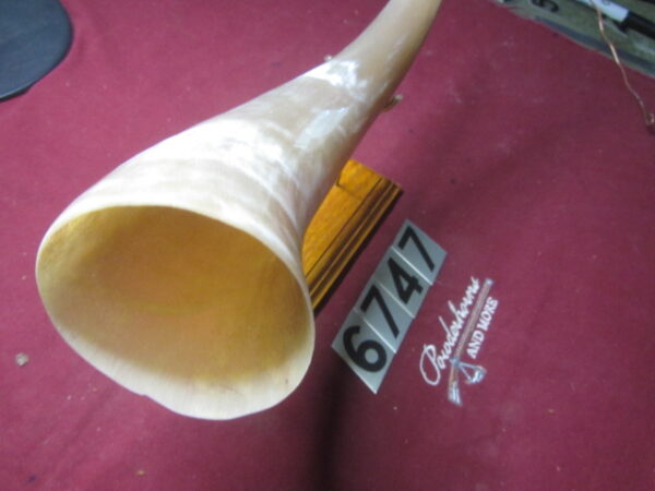 6747 Large - Right