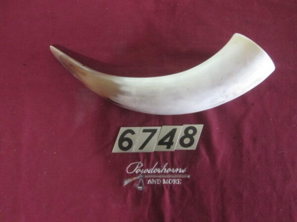 6748 Large - Left Scrimshawable