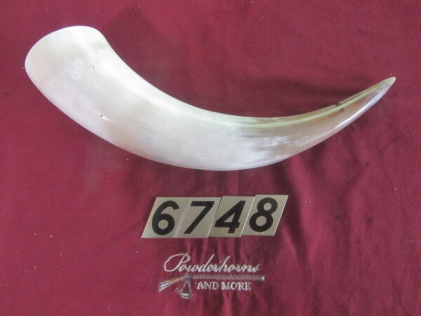 6748 Large - Left Scrimshawable
