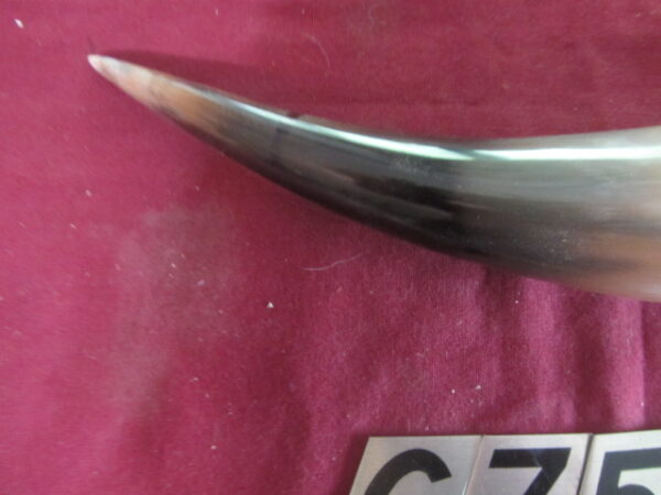 6751 Medium - Left Priming/Day