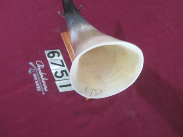 6751 Medium - Left Priming/Day