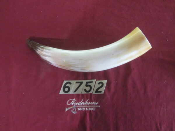 6752 Large - Left Scrimshawable