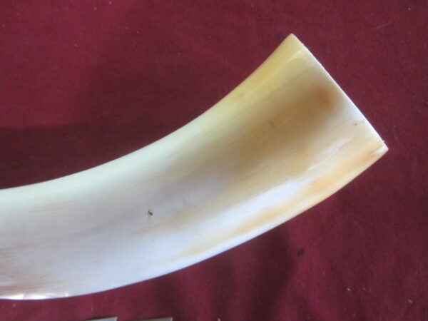 6752 Large - Left Scrimshawable