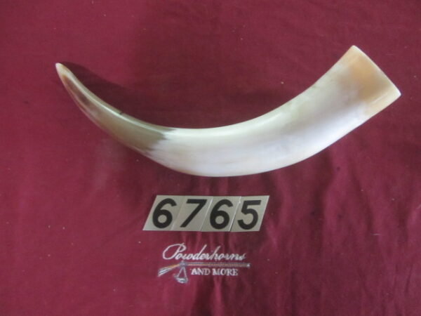 6765 Extra Large - Left Scrimshawable