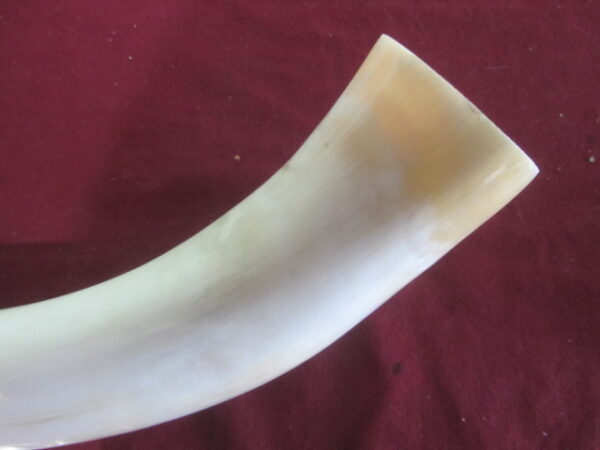 6765 Extra Large - Left Scrimshawable
