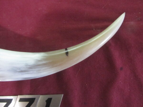 6771 Medium - Right  Priming/Day